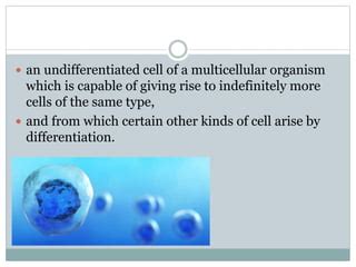 Imjaystation dark web.  In multicellular organisms, stem cells are undifferentiated or partiall...