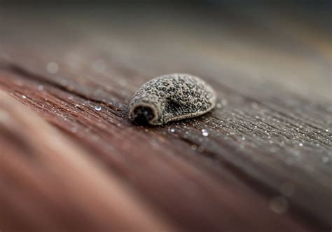 Immediate feedback loop.  Learn more.  The meaning of IMMEDIATE is occurrin...