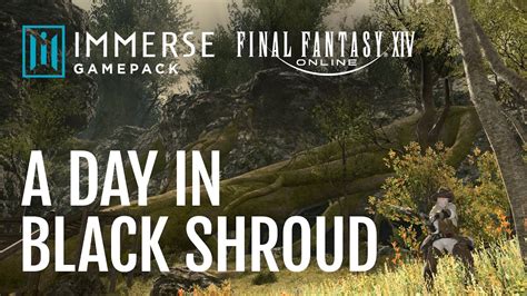 Immerse gamepack. Final Fantasy 14's Patch 6.4, The Dark Throne, is available today. It includes an update to Embody's official Immerse Gamepack that adds 3D spatial audio to the game. The audio pack has been out ... 