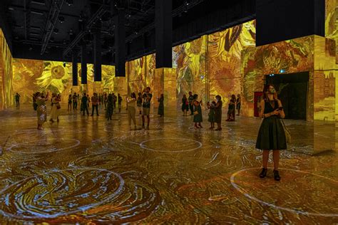 beyond van gogh discount code reddit