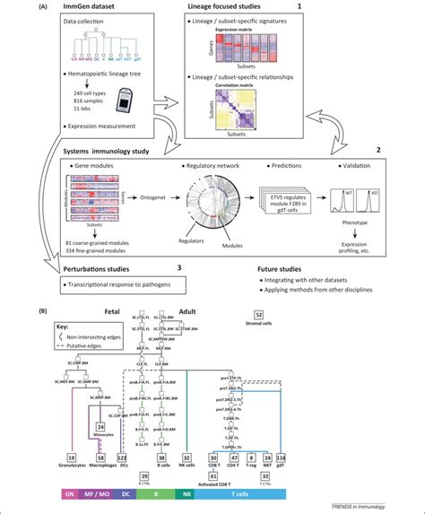 Immgen Datasets - Immunological Genome Project