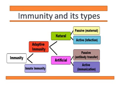 Immunity, Types of Immunity & Innate Immunity Class 12 Biology ...