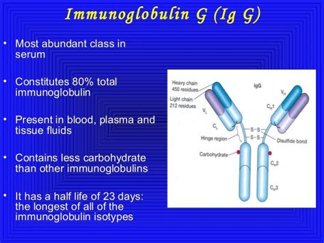 Medical Care. The goals of therapy in patients with immunoglobulin G (IgG) deficiency are 3-fold. [ 29] First, treat the acute infection with antibiotics. Because agammaglobulinemia may lead to failure of opsonization in serum, acute infections require aggressive and longer courses of antibiotic treatment than is required in normal patients.. 