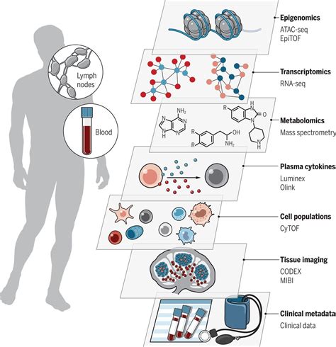 Immunology - Medicine