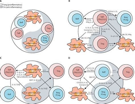 Immunology of Multiple Sclerosis - PubMed