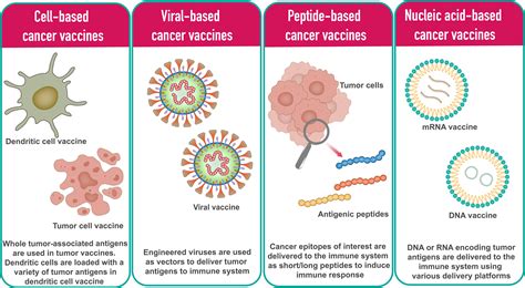 Immunotherapy, Gene Therapy and Vaccine Development