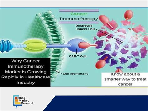 Immunotherapy and Cancer - PowerPoint PPT Presentation