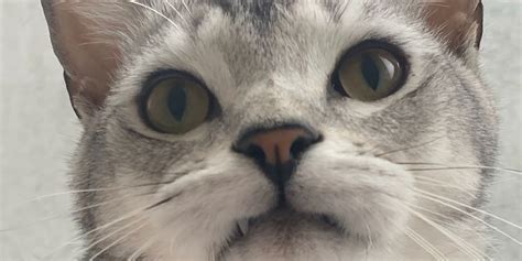 💋 Imnotparis Leaked +18