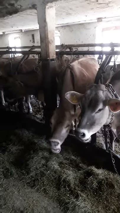 Imnyobe Onlyfans Leaked +18 🍌 142 Photos