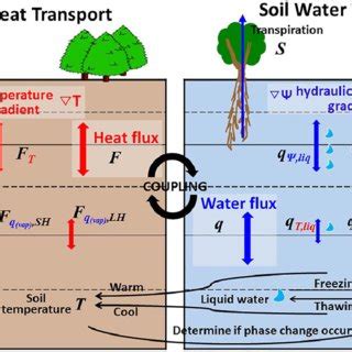 Impact and Sensitivity Analysis of Soil Water and Heat Transfer