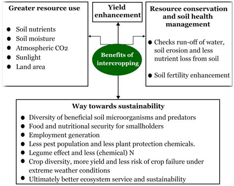 Impact of Intercrop Combinations in the Management of Gram …