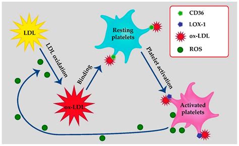 Impact of LDL-cholesterol Lowering on Platelet Activation