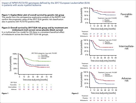 Impact of NPM1/FLT3-ITD genotypes defined by the 2024 …