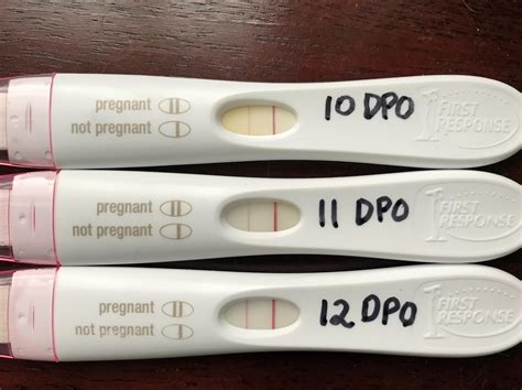 14 DPO Symptoms. When there is no pregnancy, progesterone levels 