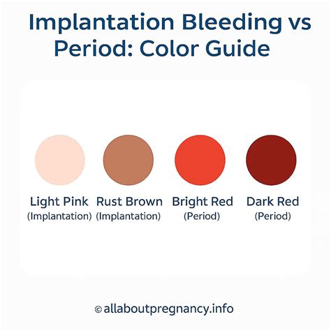 Implantation Bleeding Color And Amount