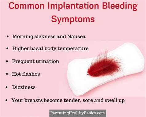Implantation Bleeding Colour