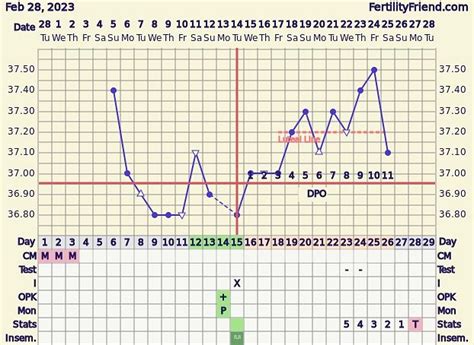 Implantation dip 11dpo? BabyCentre