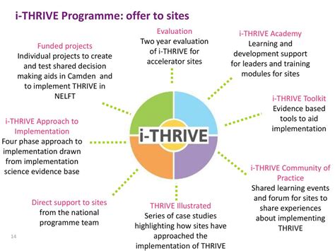 Implementing Thrive