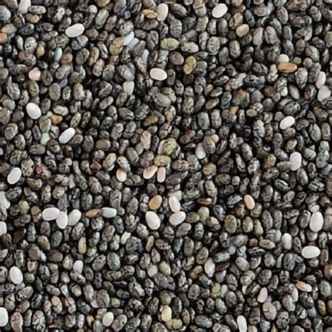 Import Data and Price of chia seeds under HS Code 12079990