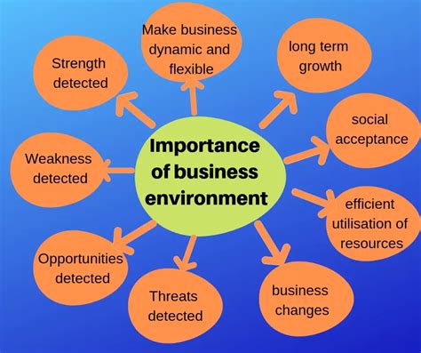 Importance of Business Environment PDF