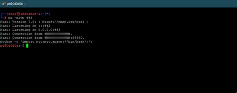 Importing a tty shell. spawn ("/bin/bash")' Method &hellip; Gett...