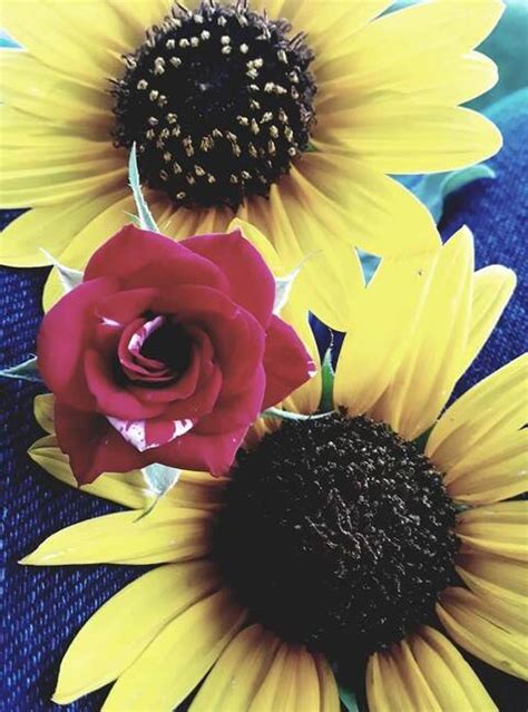 Imprezzzza1 Onlyfans Leaked 💋 [PPV]