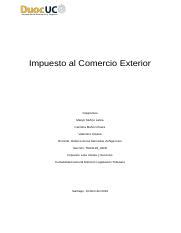 Impuesto al comercio exterior terminado revisado.docx