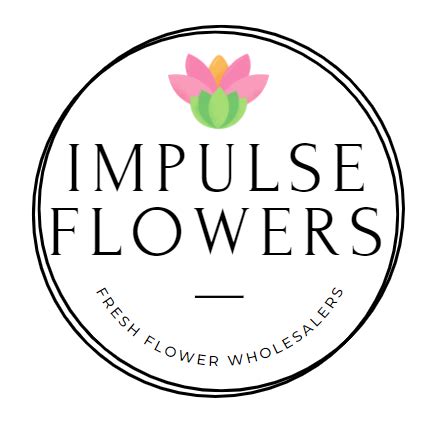 Impulse Flowers - Página inicial