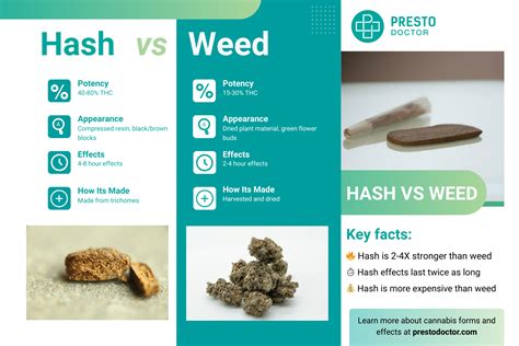 Impure hash.  &Egrave; il pezzo ideale per chi vuole distinguersi con uno stile autentico...