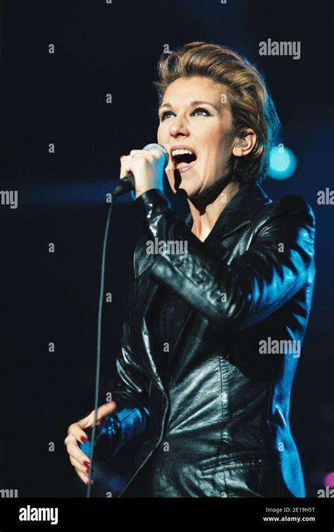 In 1995, Celine Dion teamed