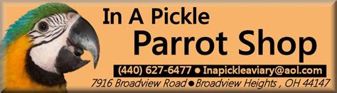 In A Pickle Parrot Shop Parrot, Broadview, Shopping - Pinterest