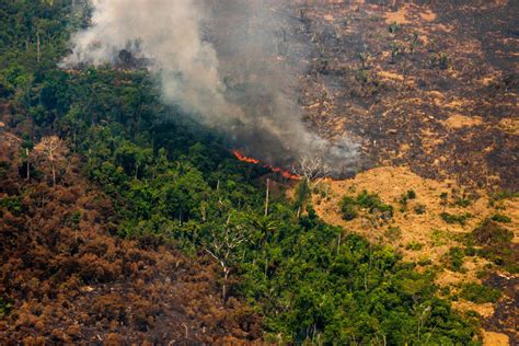 In Amazonia - Burning Shed