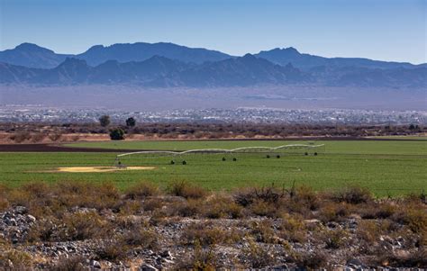 In Arizona, fresh scrutiny of Saudi-owned farm’s water use