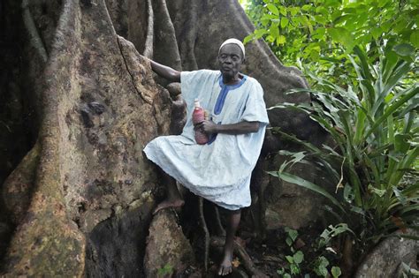 In Benin, Voodoo’s birthplace, believers bemoan steady shrinkage of forests they revere as sacred