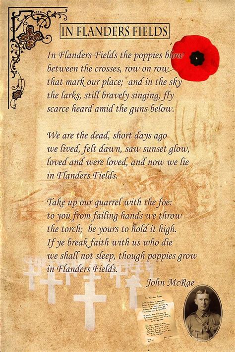 In Flanders Fields by Andrew Fare Remembrance day quotes, In flanders