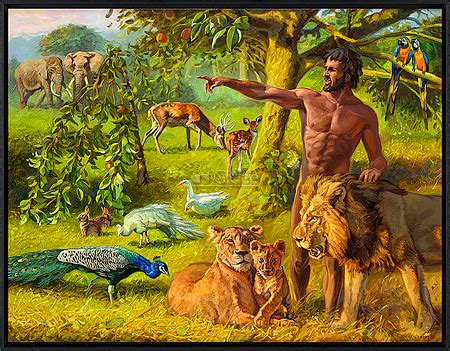 In Genesis 2:20, Adam names all the animals. How did he name