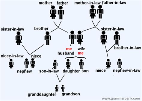 In Law Relationship Chart