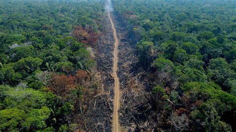 In Lula’s first six months, Brazil Amazon deforestation dropped 34%, reversing trend under Bolsonaro