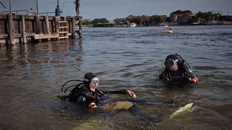 In New York City, scuba divers’ passion for the sport becomes a mission to collect undersea litter