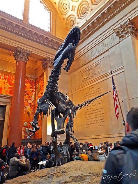 In Photos: See Inside the American Museum of Natural …