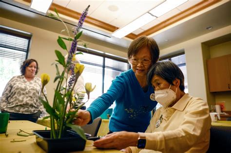 In Pleasanton, an ancient Japanese tradition points a way to healthier aging