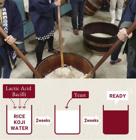 In Sake Brewing, Who or What is a Toji？