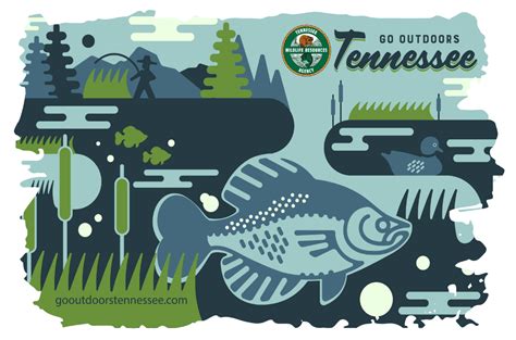 In Tennessee You Can Purchase A Lifetime Hunting And Fishing License