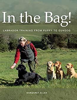 In The Bag Labrador Training From Puppy To Gundog