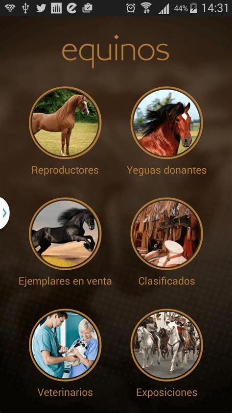 In Vitro Equinos APK Download for Android 