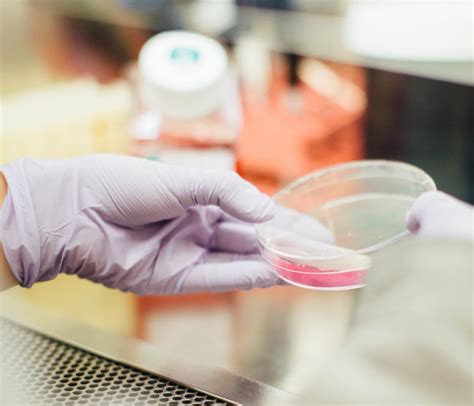In Vitro Methods and More Animal Testing Alternatives PETA.