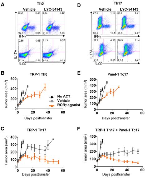 In Vitro Priming of Adoptively Transferred T Cells with a RORγ …