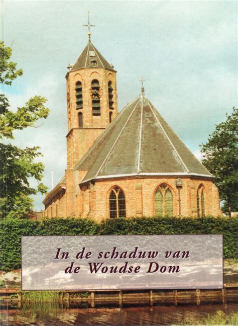 In de schaduw van de dom. - Picking up the pieces without picking up a guidebook through victimization for people in recovery.