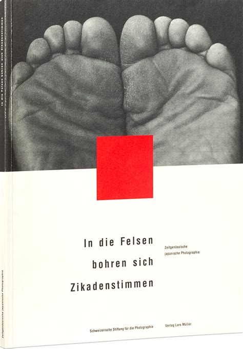 In die felsen bohren sich zikadenstimmen. - Lone star 1st edition guided reading and review workbook spanish student edition 2003c.