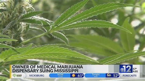 In federal lawsuit, owner of medical marijuana dispensary says Mississippi censors business owners
